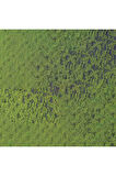Caran d'Ache Pastel Kalem Light Olive 40% 245