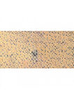 Caran d'Ache Pastel Kalem Light Flesh 10% 542