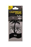 California Scents Palms "Ice" Asma Koku