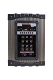 EMRTECH LT-908 Super Bass Şarjlı Mikrofonlu Hoparlör Sistemi