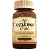 Gentle Iron 17 Mg 90 Kapsül