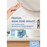 Sofia Tek Kullanımlık El Yüz Havlusu 100 Lü 501268 (12 Paket)