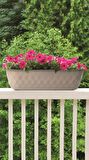 Omnipazar KRS-472 Dekoratif Yakamoz Balkon Saksı 6.5 Litre No 2 Pembe