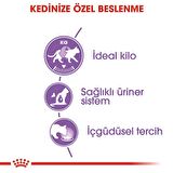 Royal Canin Sterilised Kısırlaştırılmış Kediler için Jöle İçerisnde Yaş Kedi Maması 85g