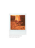 Polaroid Polaroid Go Renk Filtresi Seti