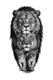 Lion Family Aslan Ailesi Sticker Araba, Motorsiklet, AraçEtiket Cam Sticker 19CM