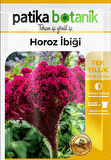 Horozibiği (celosia) Çiçek Tohumu 100 Adet