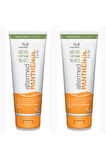 Panthenol Forte Aloe Veralı Vücut Sütü 230 ml x 2 Adet