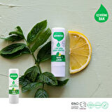 Siveno %100 Doğal Dudak Koruyucu Nane & Limon Lipbalm Krem Nemlendirici Parlatıcı Onarıcı 6 G X 2 Adet