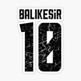 10 BALIKESİR Sticker Yapıştırma Oto Etiket 17cm
