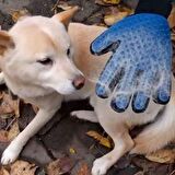 Kedi ve Köpek İçin Tüy Toplama Eldiveni