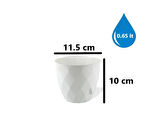 Omnipazar KRS-451 Yakamoz Tabaklı Plastik Saksı Takımı 0.65 Litre No 1