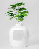 Reyo Dekorapet Dekoratif Kedi Tuvaleti Beyaz