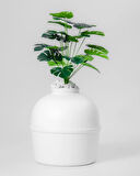 Reyo Dekorapet Dekoratif Kedi Tuvaleti Beyaz