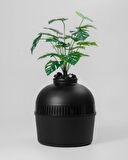 Reyo Dekorapet Dekoratif Kedi Tuvaleti Siyah