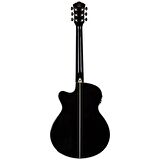 Washburn Ea55g Festival Elektro Akustik Gitar