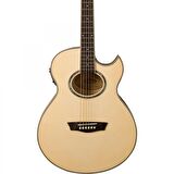 Washburn Ea20 Elektro Akustik Gitar