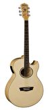 Washburn Ea20 Elektro Akustik Gitar