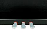 Digital Piano Hammer Action 88 Tuş STDP518