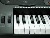 Org Standart Klavye 61 Tuş Xek61223
