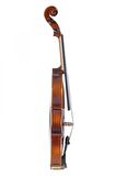 Gewa Allegro Vl1 4/4 Keman