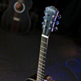 Washburn Dfed Deep Forest Ebony D Akustik Gitar