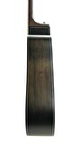 Akustik Gitar Segovıa Ladin SGA486C