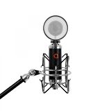 Artesia Amc-20 Condenser Mikrofon