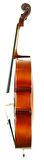Cello ( Violonsel ) Stanislava STC44BR