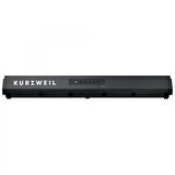 Kurzweil Kp100 Org