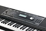 Kurzweil Kp100 Org