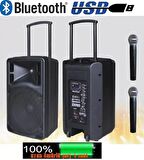 D-sound Max-10pa Taşınabilir Şarjlı Hoparlör