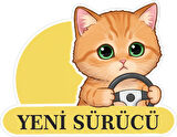 Yeni Sürücü Sevimli Kedi Araba Etiketi & Sticker