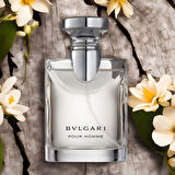 Bvlgari Men Pour Homme EDT 100 ml Erkek Parfümü
