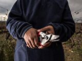 Felco 6 Budama Makası