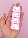 Sevimli Kedi Suratları Squishy Taba Sukuşi Yumuşacık (10x4cm) Kedi Sukuşi - Pembe