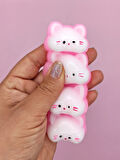 Sevimli Kedi Suratları Squishy Taba Sukuşi Yumuşacık (10x4cm) Kedi Sukuşi - Pembe