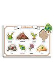 Doğa, Renkli Tutacaklı Zeka Geliştirici Puzzle