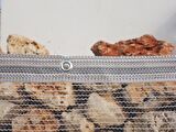 Kuş Filesi 2x8 Metre Kedi Filesi Kuş Önleme Filesi Uzunluk Misina File