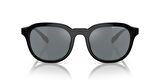 ARMANI EXCHANGE 4129SU 81586G 54 ERKEK GÜNEŞ GÖZLÜĞÜ