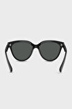 Armani Exchange Bayan Gözlük 0AX4148SU 835687 56
