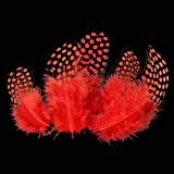 50 ADET PUANTİYELİ KIRMIZI SİYAH KUŞ TÜYÜ KIRMIZI KUŞ TÜYÜ DECOR RED BIRD FEATHER KIRMIZI ŞEFFAF BALON TÜYÜ
