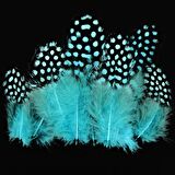 50 ADET PUANTİYELİ MAVİ SİYAH KUŞ TÜYÜ MAVİ KUŞ TÜYÜ DECOR BLUE BIRD FEATHER MAVİ ŞEFFAF BALON TÜYÜ