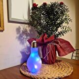 LIGHTBULB PİNK GLASS DECORATION LED LİGHT VIP KALİTE DEKOR PEMBE AMPUL LED LAMBA RENKLİ LED IŞIKLI