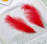 400 PCS DECOR RED BIRD FEATHER 400 ADET KIRMIZI KUŞ TÜYÜ KIRMIZI ŞEFFAF BALON TÜYÜ SÜSLEME TÜYÜ