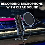 FM1 Kondenser Mikrofon