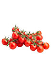 10 Adet Tohum Süper Paket Cherry Çeri Domates Tohumu Saksı Toprak Hediyeli