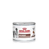 Royal Canın 195 gr Recovery Kedi Köpek Konservesi 195 gr x 6