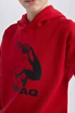 Erkek Çocuk Shaquille O'Neal Regular Fit Kapüşonlu Kalın Sweatshirt