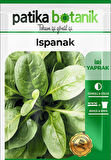 Yerli Ispanak 